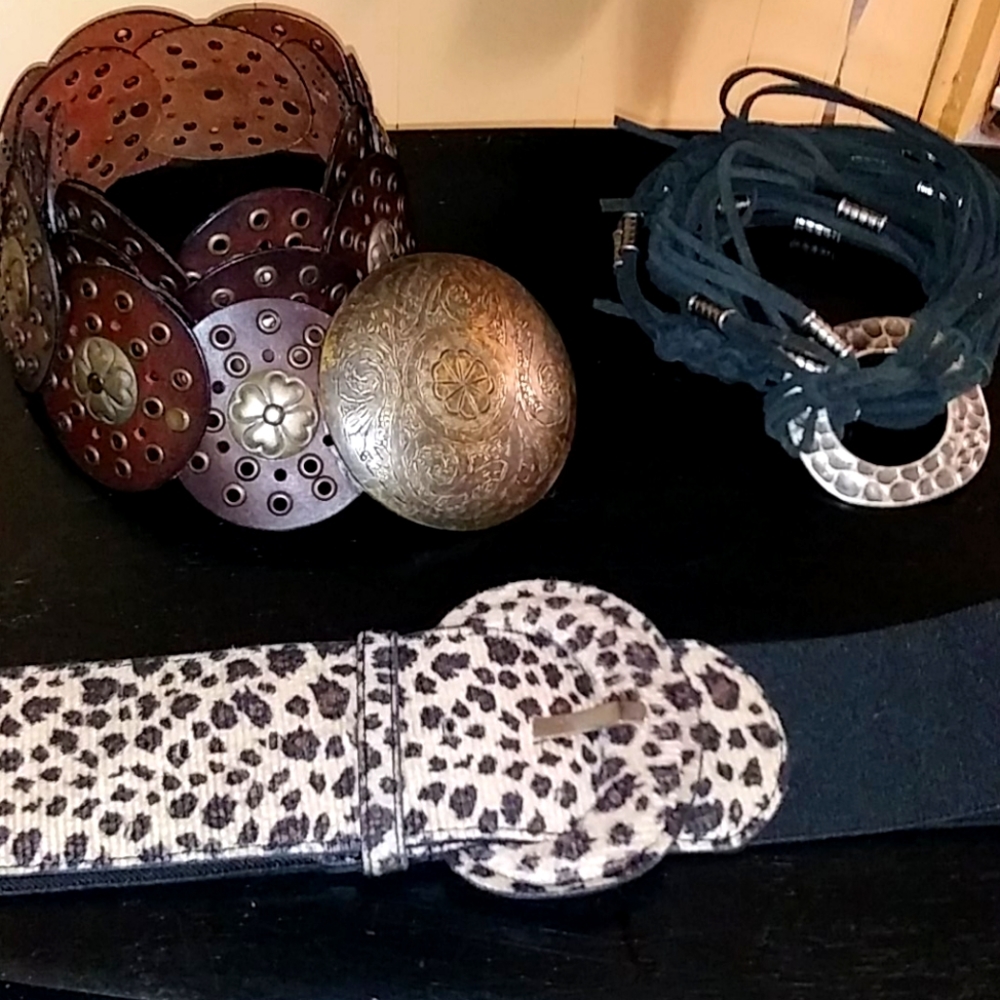 Bundle of Belts